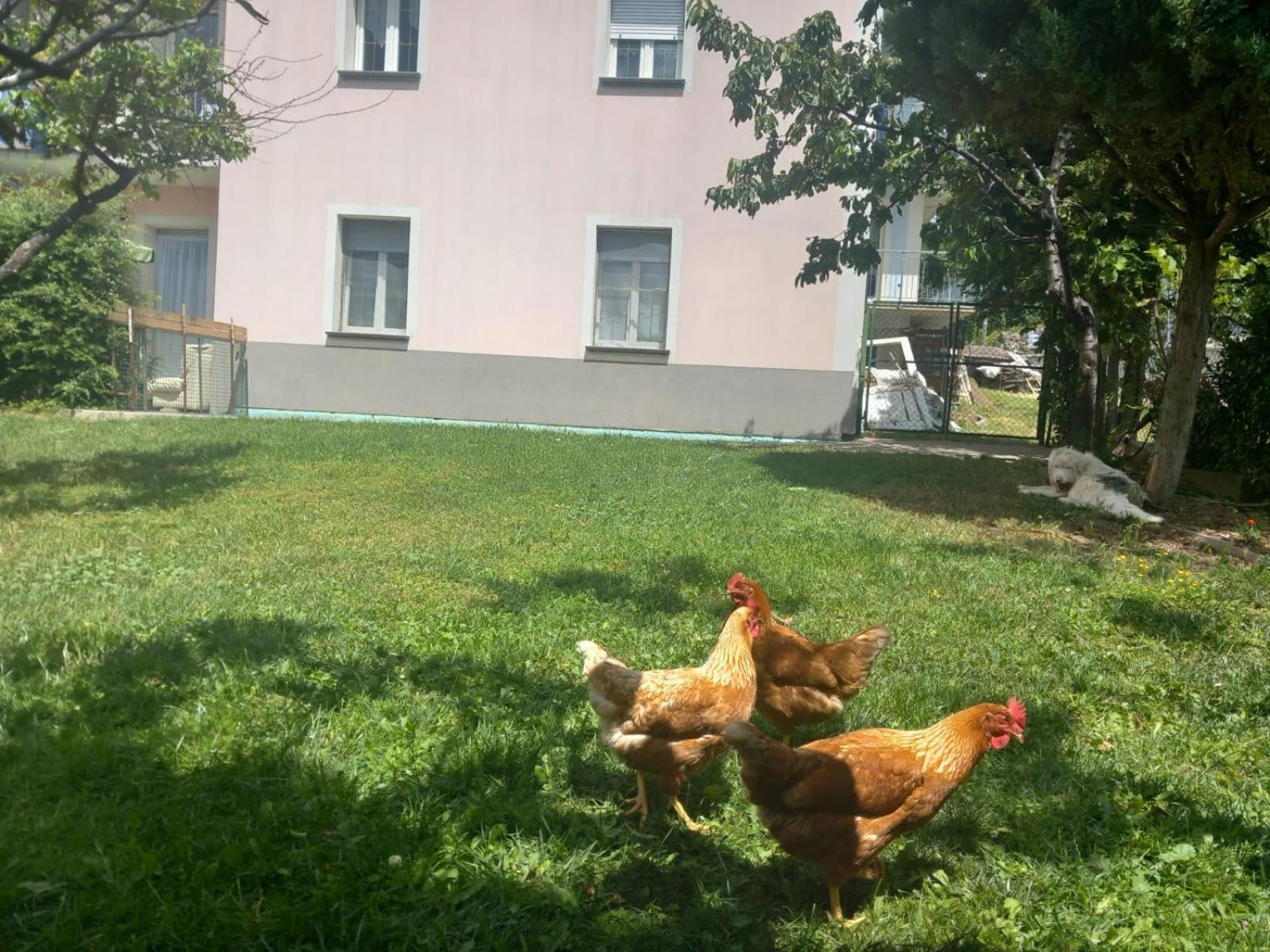 Casa Sergio Grosio Zewnętrze zdjęcie